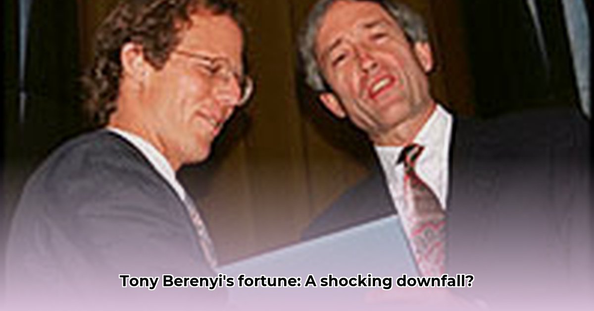 tony-berenyi-net-worth